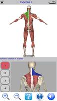 Visual Anatomy Lite اسکرین شاٹ 2