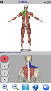 Visual Anatomy Free 截图 3