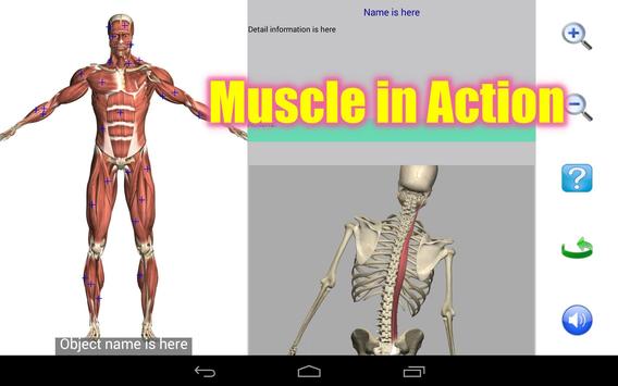 Visual Anatomy Free 截图 8