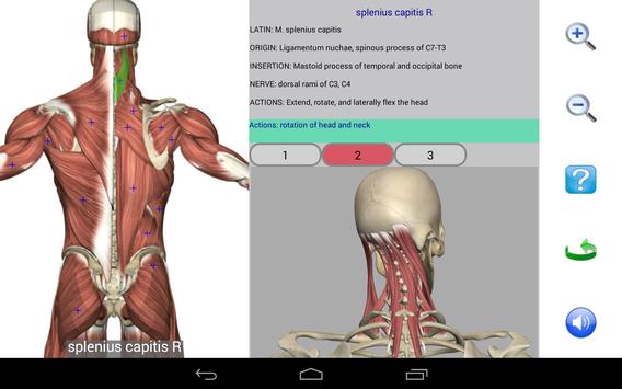 Visual Anatomy Free 截图 9