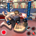 Real Wrestling Kickboxing