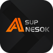 ikon Sup-Anesok