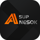 Sup-Anesok icône