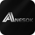 ANESOK