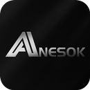 ANESOK APK