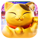 Slots 888 Cat and Dog APK