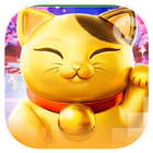 Slots 888 Cat and Dog Zeichen