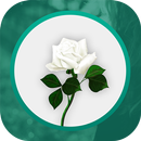 GoneButLoved - Memorial APK