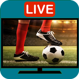 Football Live Tv Euro Sports