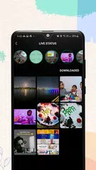 WT Tracker - Web Scanner XAPK download