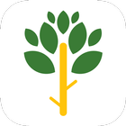 Icona Everleaf