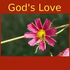 God's Love -Quotes&Meditations Icon
