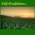 Self Confidence and Healing ikona