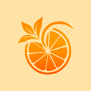 Orange Citrus Icon Pack APK