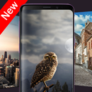 HD Wallpapers and Backgrounds  APK