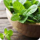 beneficios de la menta simgesi