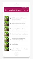 beneficios de la menta gönderen