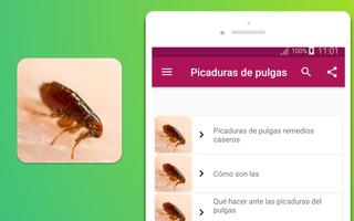 Picaduras de pulgas 截图 2