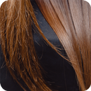 Recetas para el cabello seco APK