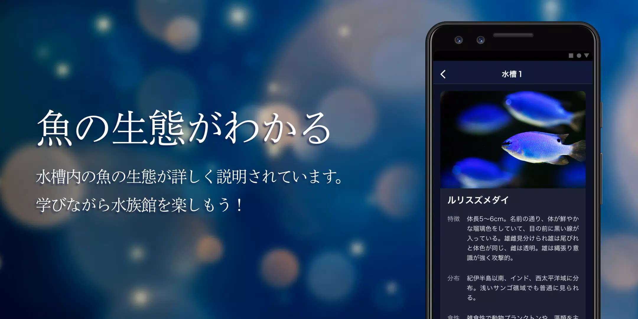 ジュエリーアクアリウム 魚図鑑アプリ Apk Untuk Unduhan Android