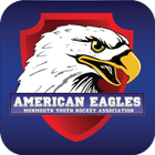 American Eagles Hockey icono
