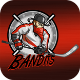 NJ Bandits
