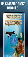 Poster Willy Rescue