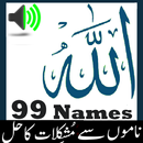Asma ul Husna audio mp3 - 99 N APK