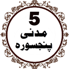 Panj Surah icône