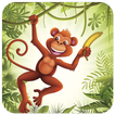 Kird: jungle world & jungle monkey