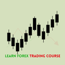 Learn Forex Trading Course APK
