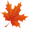 Valley Media Service - VMS APK