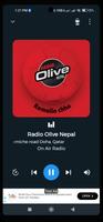 Nepali Radio : Hamro Radio 截圖 2