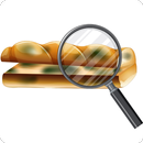 Gold Detector Scanner Camera APK