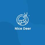 Nice Deer