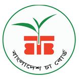 দুটি পাতা একটি কুঁড়ি