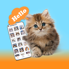 Cat Sounds Prank Game icon