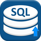 SQL 연습 클라이언트 아이콘