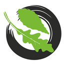 The Salad APK