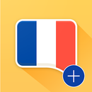 French Verb Conjugator Pro APK