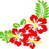 KāPix Hawaii APK