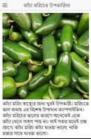 কাঁচা মরিচের অসাধারন স্বাস্থ্য screenshot 3