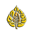 Dhamma Videos آئیکن