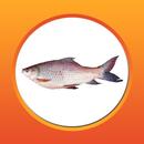 Fish Farming - মাছ চাষ APK