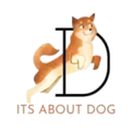 Its About Dog