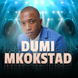 Dumi Mkokstad All Songs APK