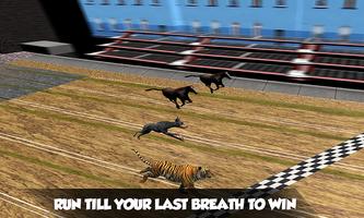 Crazy Real Dog Race: Greyhound پوسٹر