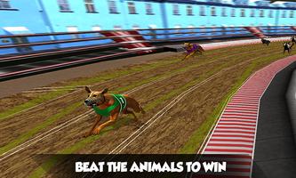 Crazy Real Dog Race: Greyhound اسکرین شاٹ 2