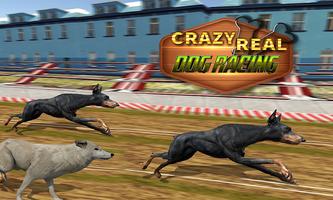 Crazy Real Dog Race: Greyhound screenshot 3