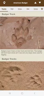 iTrack Wildlife